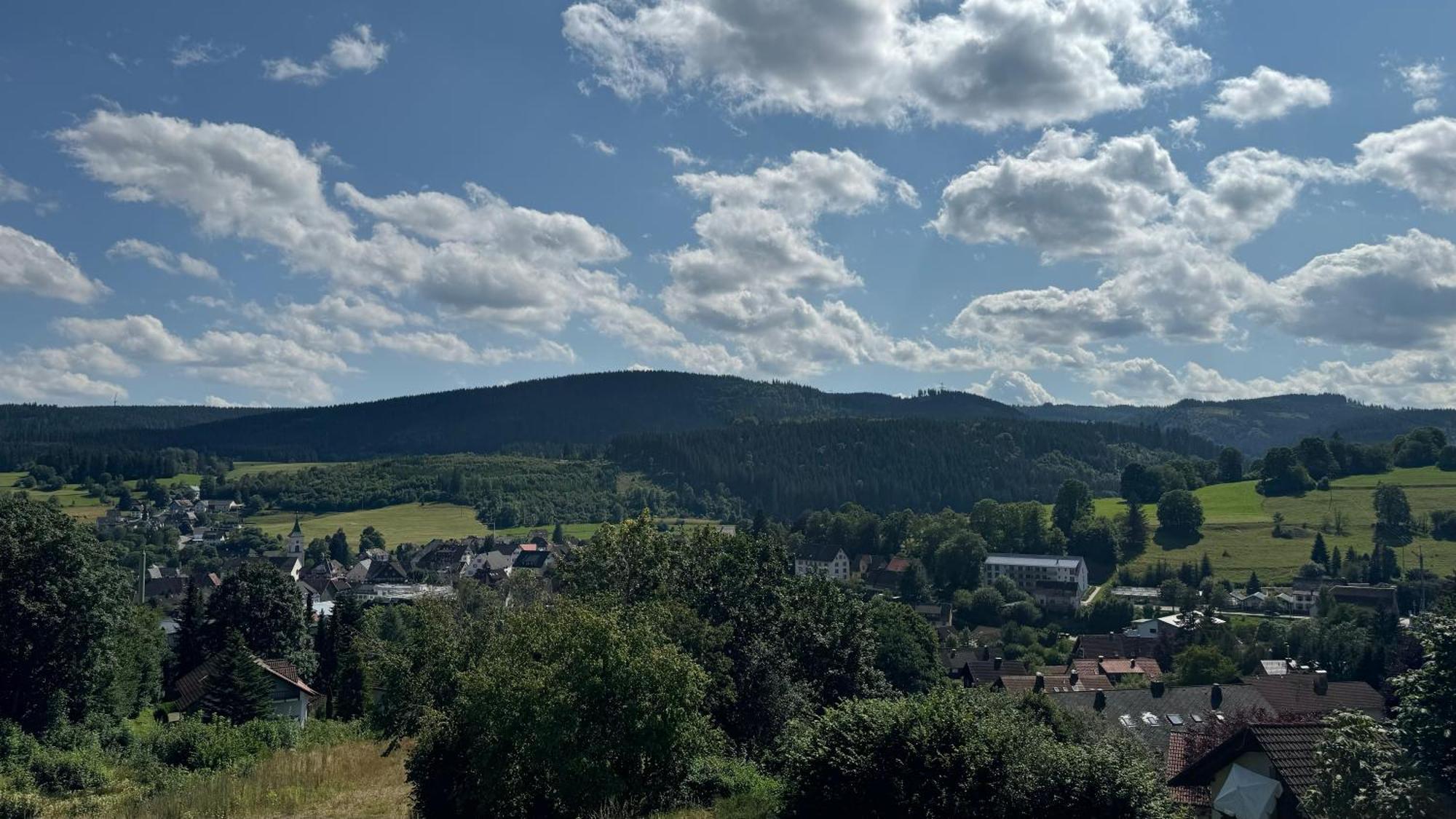 Urlaub Im Schwarzwald Apartment Ленцкирх Екстериор снимка